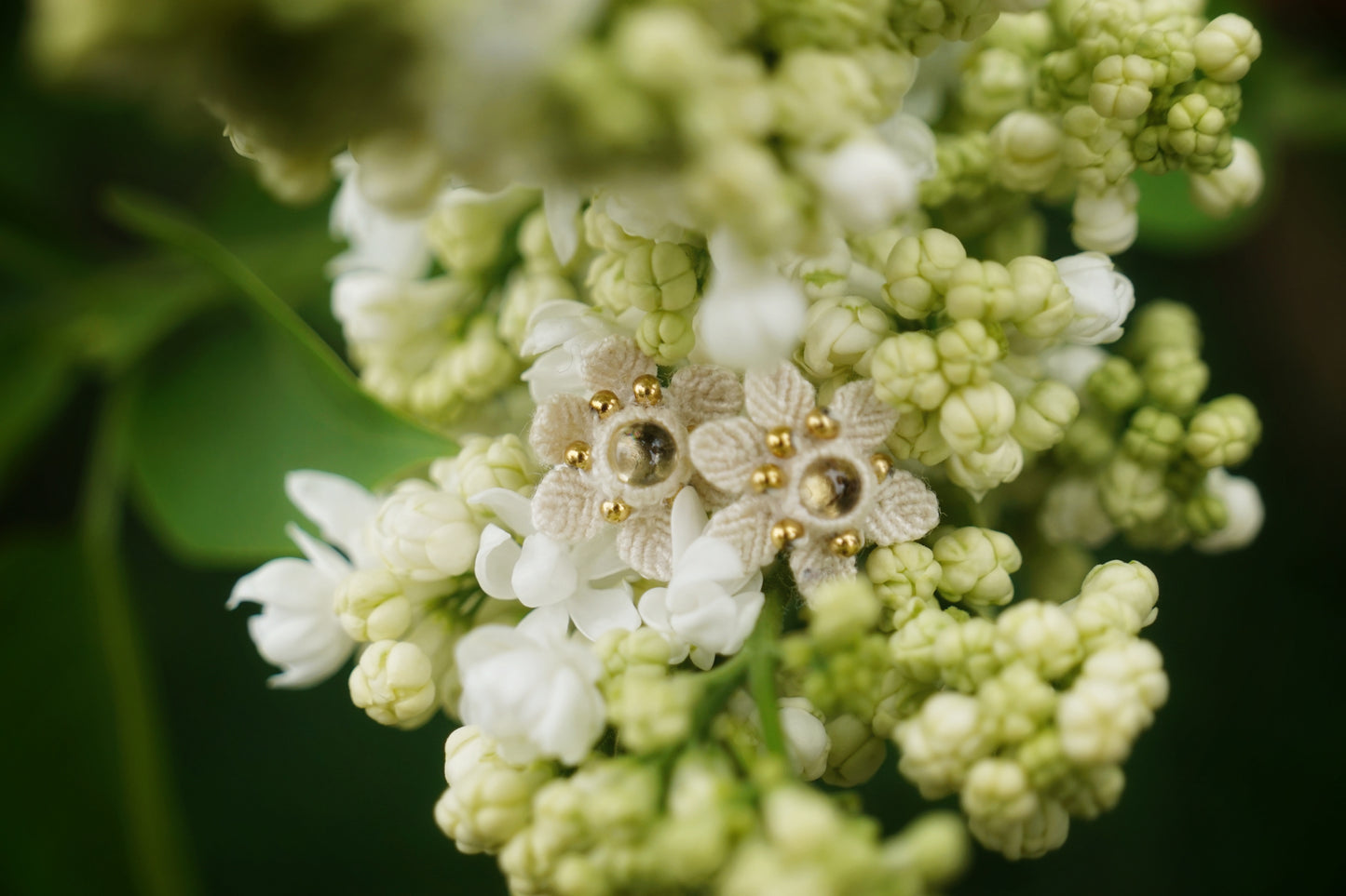 Puces florales micro macramé & citrine – Boucles elfiques - Coton & Astrance