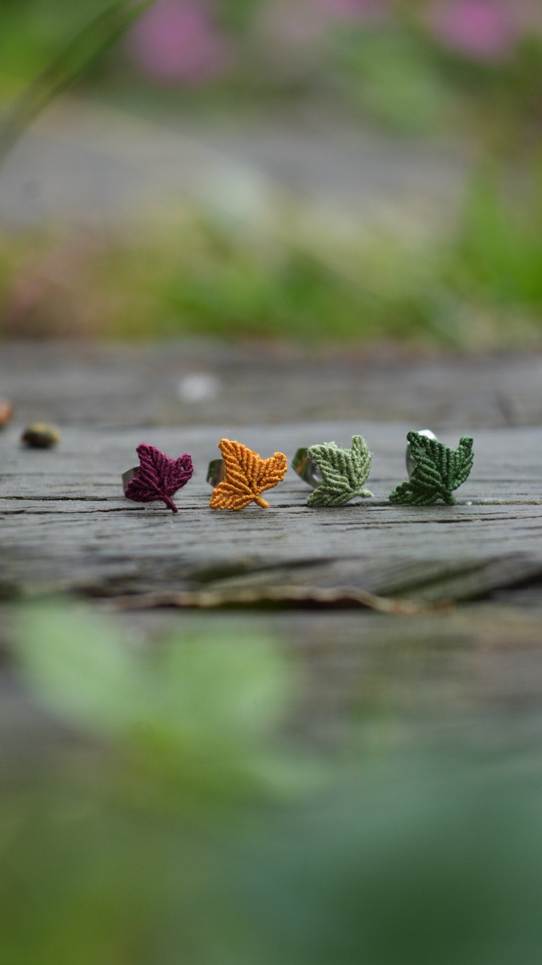 Les Petites Merveilles