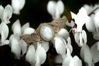 Bracelet Elfique en Micro Macramé avec Labradorite Blanche - Coton & Astrance