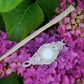 Barrette à Cheveux Macramé et Épingle à Cheveux en Bois de Frêne et Nacre - Coton & Astrance