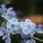 Bijou hypoallergénique discret et élégant pour mariage, Coton et Astrance