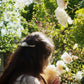 Barrette à Cheveux Macramé et Épingle à Cheveux en Bois de Frêne et Nacre - Coton & Astrance