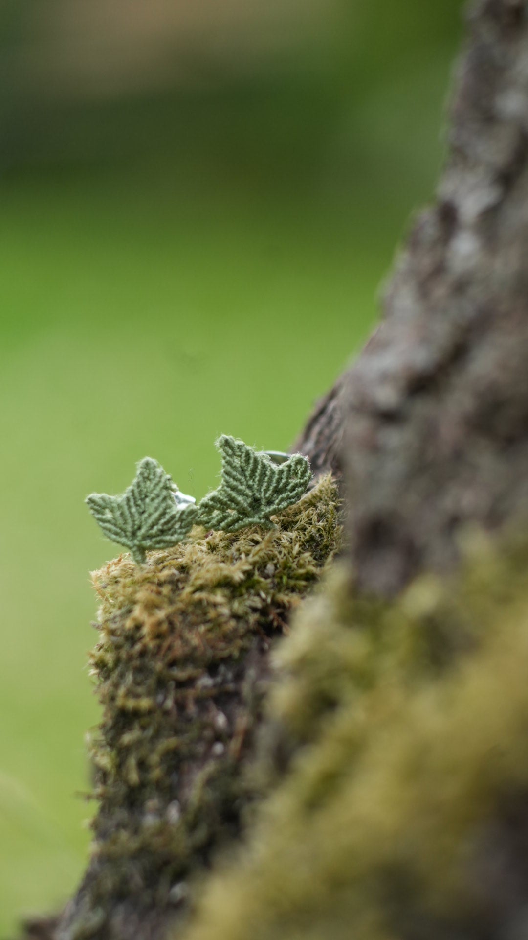 Puces d'oreilles feuille de lierre - plusieurs couleurs au choix