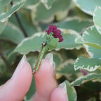 Broche artisanale fleur rouge en micro macramé, cœur doré, tenue à la main au milieu de feuilles vertes, bijou bohème elfique et fait main.