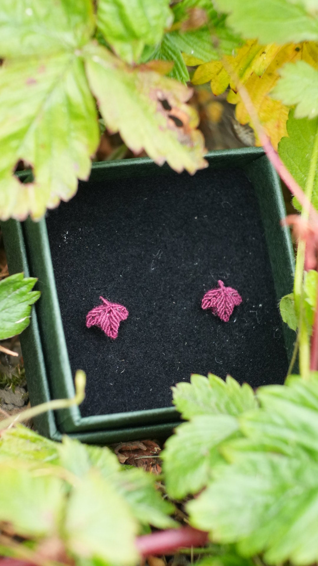 Puces d'oreilles feuille de lierre - plusieurs couleurs au choix