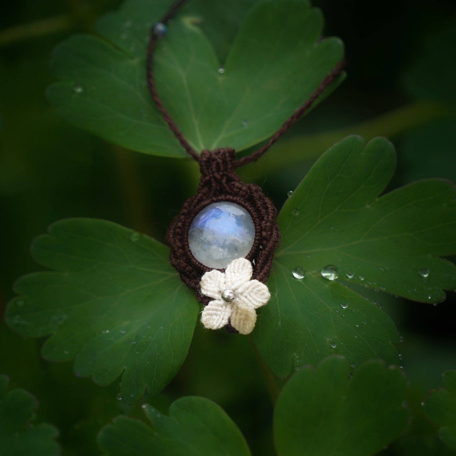 Pendentif en labradorite blanche posé à l’intérieur d’une feuille d'ancolie sous la pluie telle une goutte au cœur de la nature, bijou bohème elfique en micro macramé. Coton et Astrance