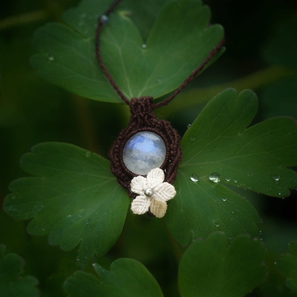 Pendentif en labradorite blanche posé à l’intérieur d’une feuille d'ancolie sous la pluie telle une goutte au cœur de la nature, bijou bohème elfique en micro macramé. Coton et Astrance