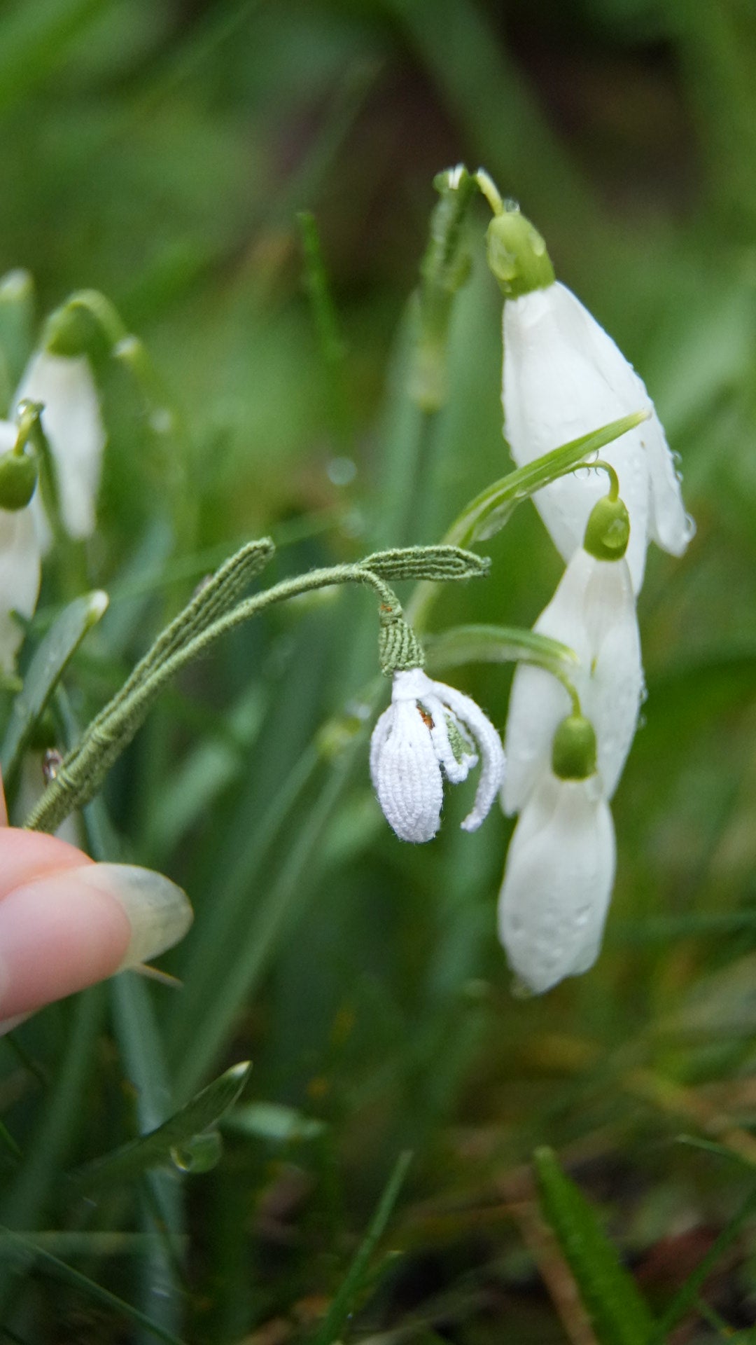 Broche perce-neige en micro macramé - Coton & Astrance