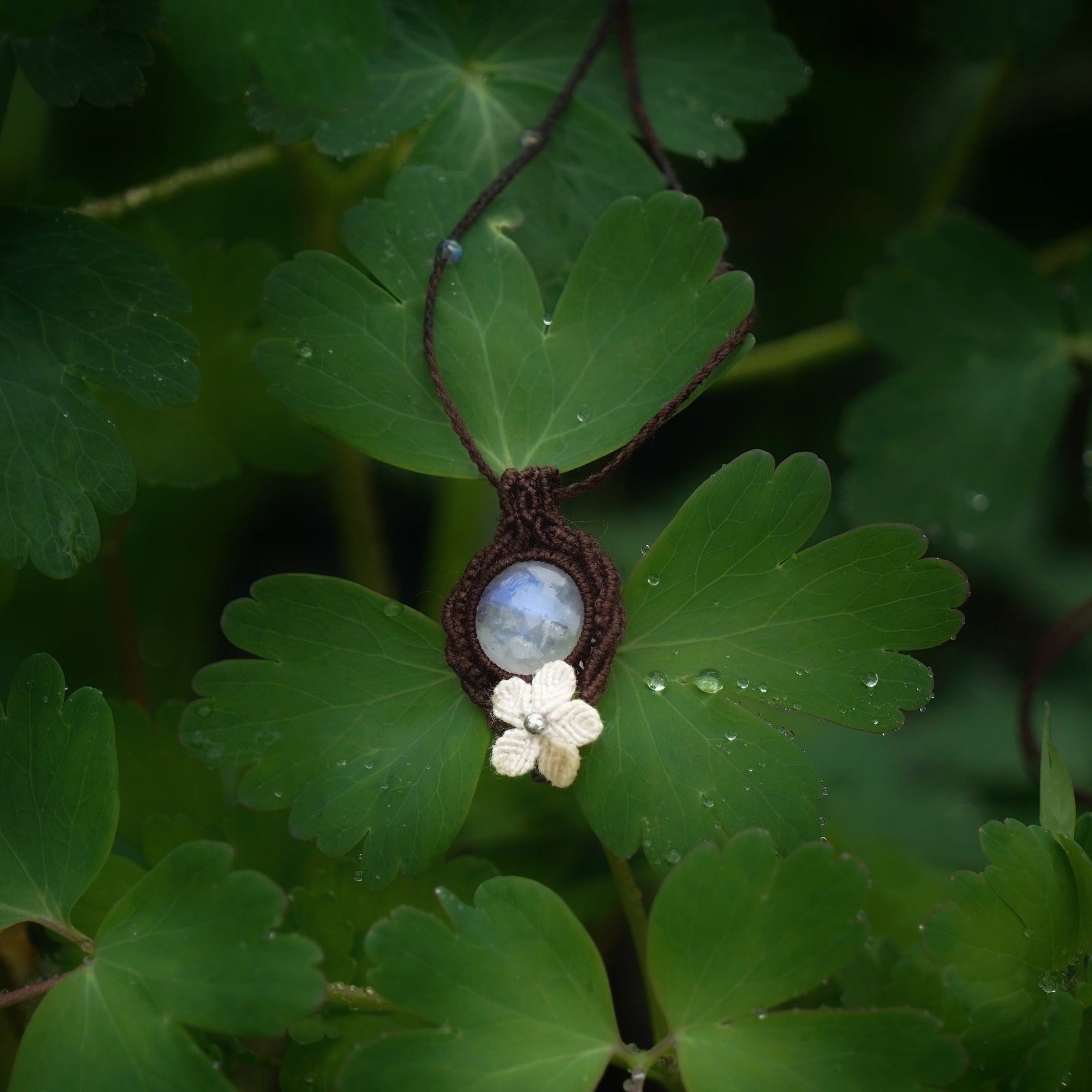 Bijou pendentif en labradorite blanche suspendu verticalement au milieu de de feuilles vertes mouillées par la pluie, collier elfique bohème réglable. Coton et Astrance