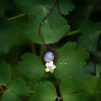 Bijou pendentif en labradorite blanche suspendu verticalement au milieu de de feuilles vertes mouillées par la pluie, collier elfique bohème réglable. Coton et Astrance