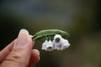 Broche Muguet micro macramé – Bijou floral fait main - Coton & Astrance