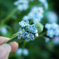 Broche Myosotis en micro macramé – Accessoire sac floral bohème elfique - Coton & Astrance