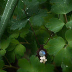 Bijou pendentif en labradorite blanche suspendu verticalement au milieu de de feuilles vertes mouillées par la pluie, collier elfique bohème réglable. Coton et Astrance