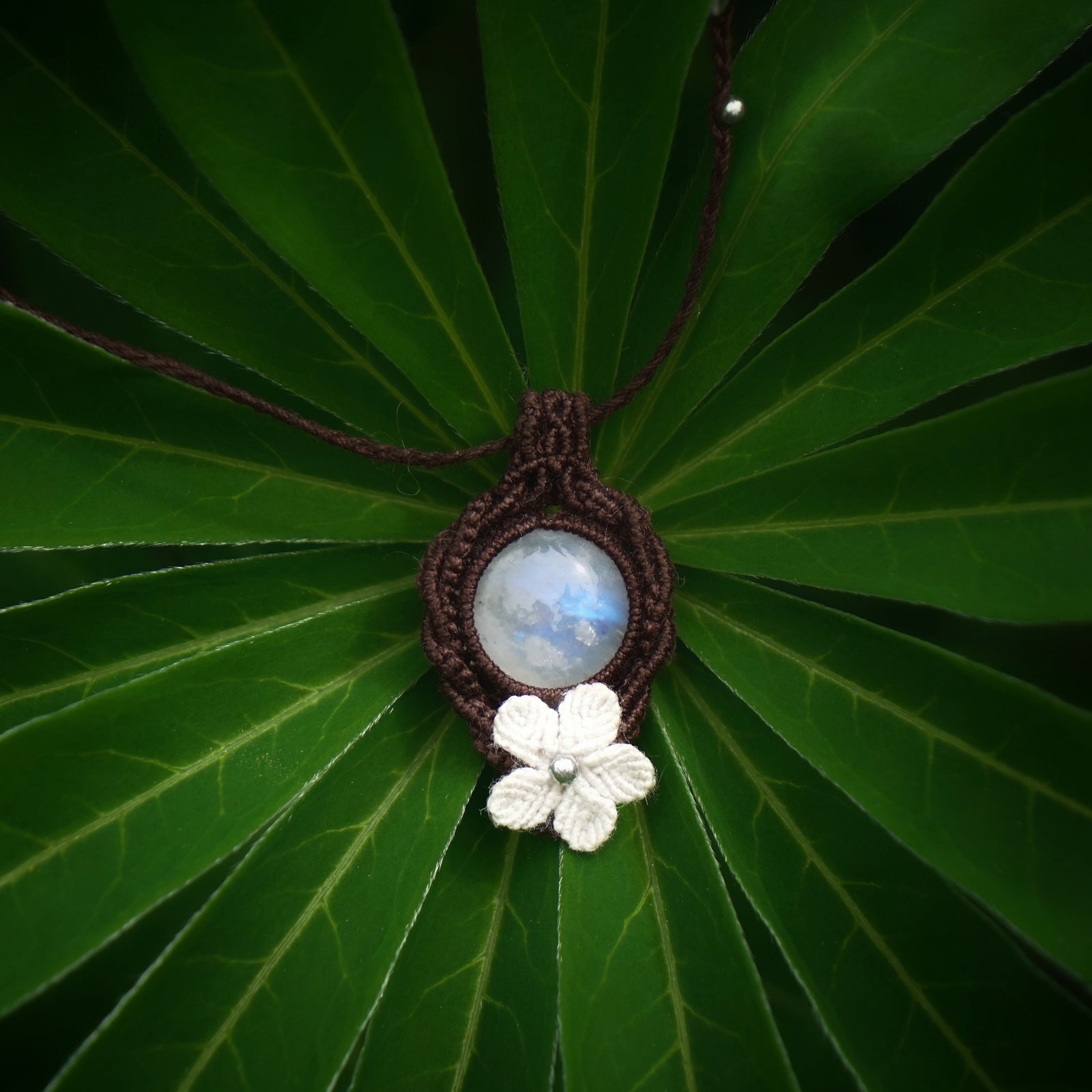 Pendentif en labradorite blanche posé à l’intérieur d’une feuille étoilée de lupin, telle une goutte de pluie au cœur de la nature, bijou bohème elfique en micro macramé. Coton et Astrance
