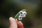 Broche Muguet micro macramé – Bijou floral fait main - Coton & Astrance
